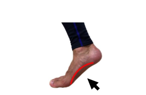 歩行周期における足部の形態変化
